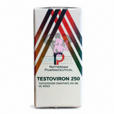 TESTOVIRON-ENANTATO DE TESTOSTERONA-250MG-ROTTERDAM PHARMACEUTICAL-10ML
