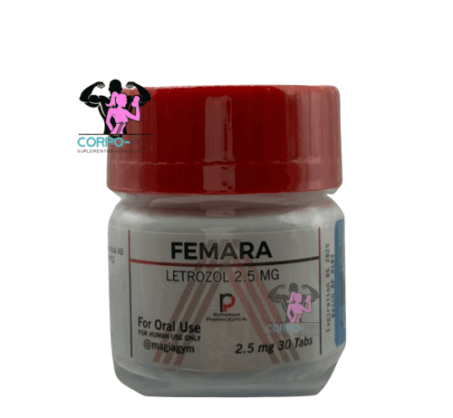 Femara Rotterdam Pharmaceutical Letrozole | Corpofit Suplementos